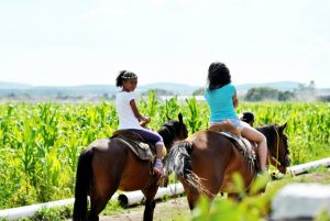 Paseo a caballo FV´14