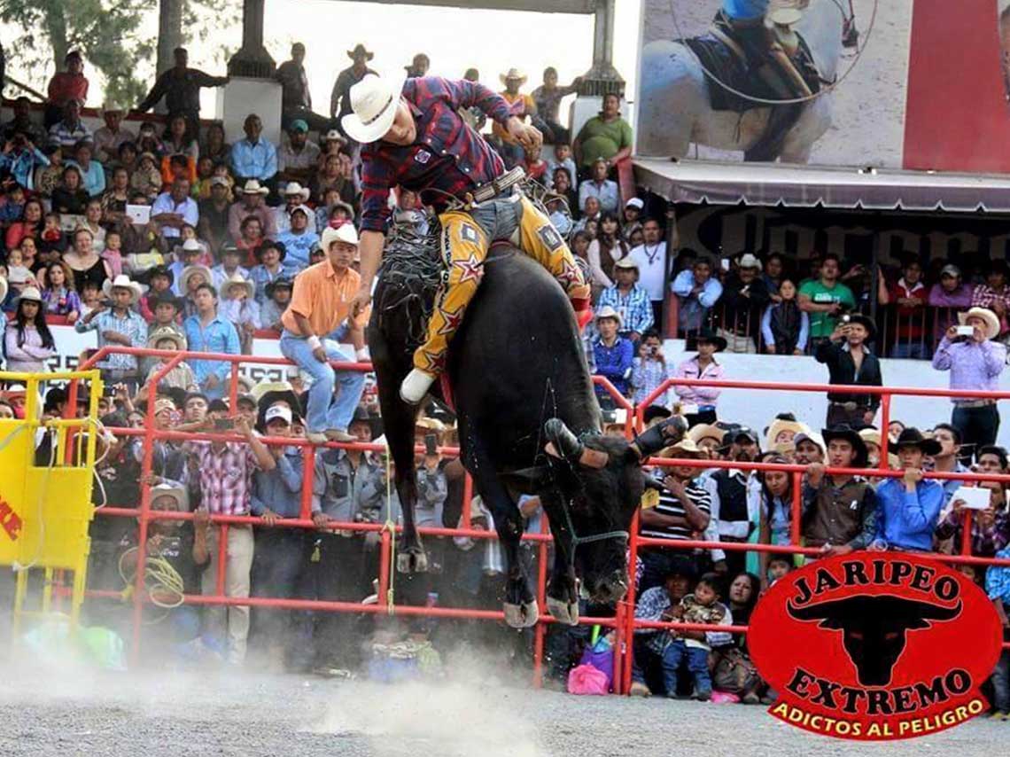 Festival del papalote en Hidalgo