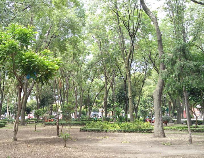 lugares para andar en bici parque de los venados