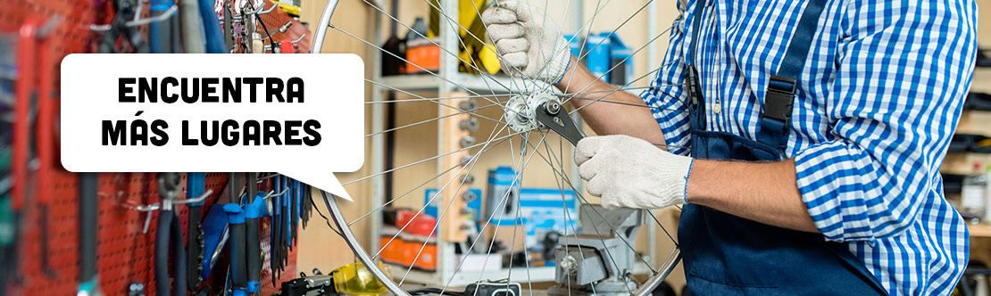 Imagen de la categoría Servicios