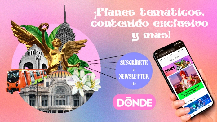 Newsletter Dónde Ir