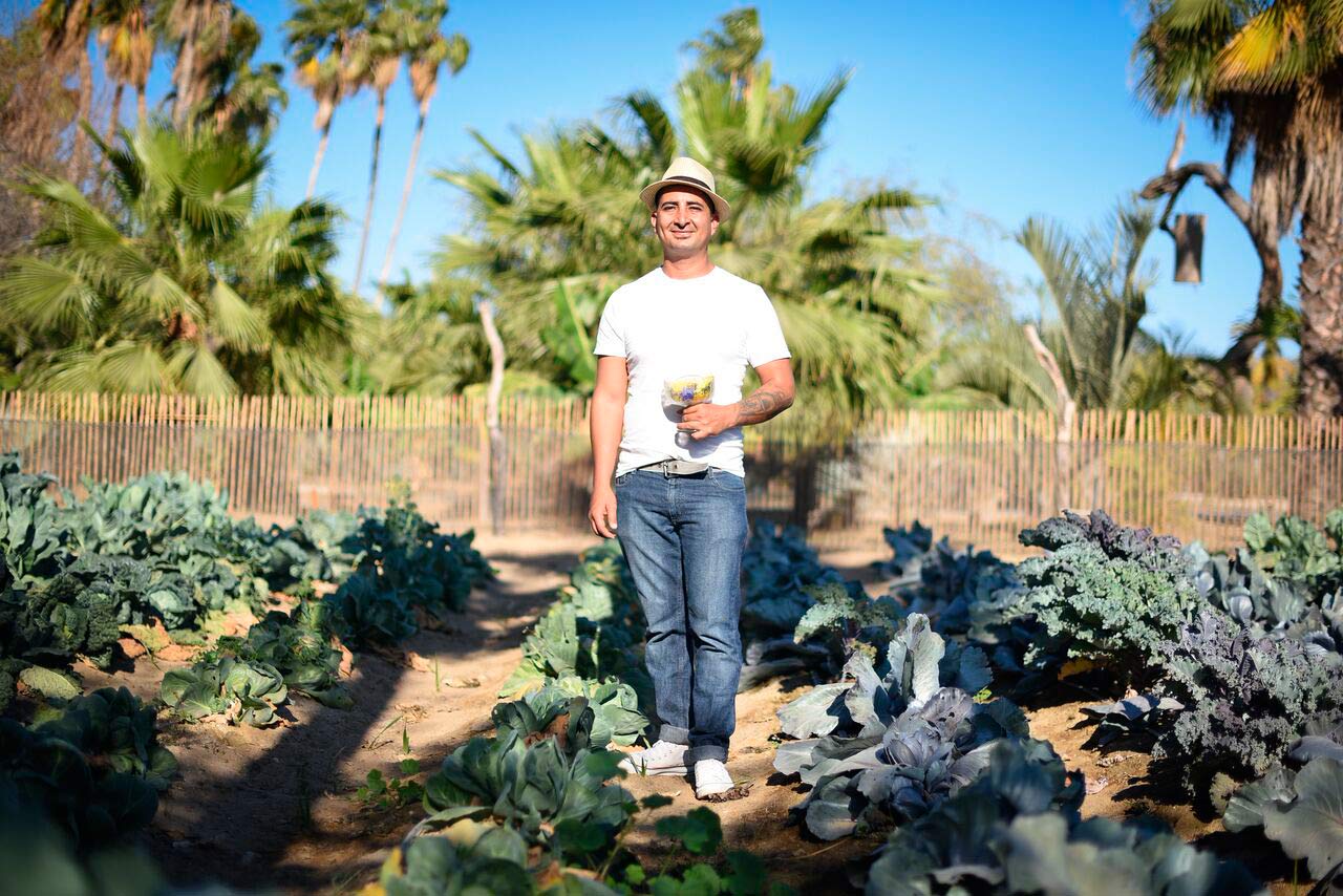 ¡Que elegancia la de Baja! Conoce el lado gourmet de Los Cabos 0