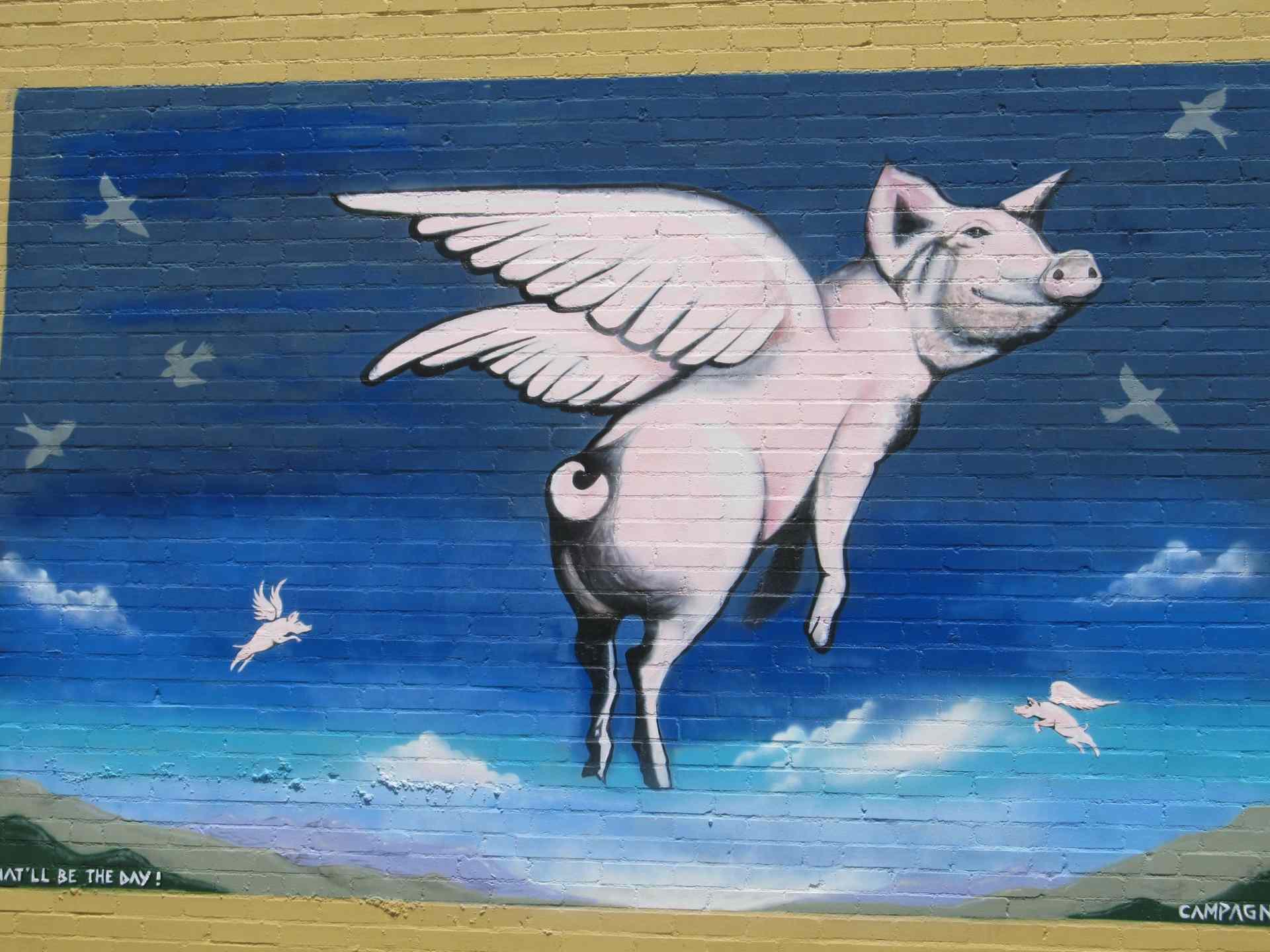 when-pigs-fly-street-artwork