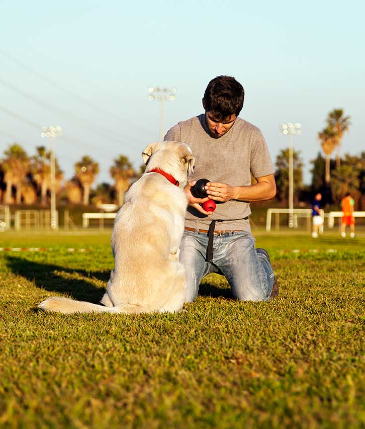 Tener una mascota te hace más atractivo 2