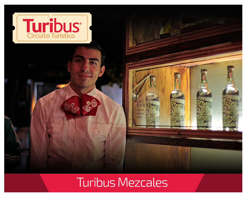 turimezcales-01