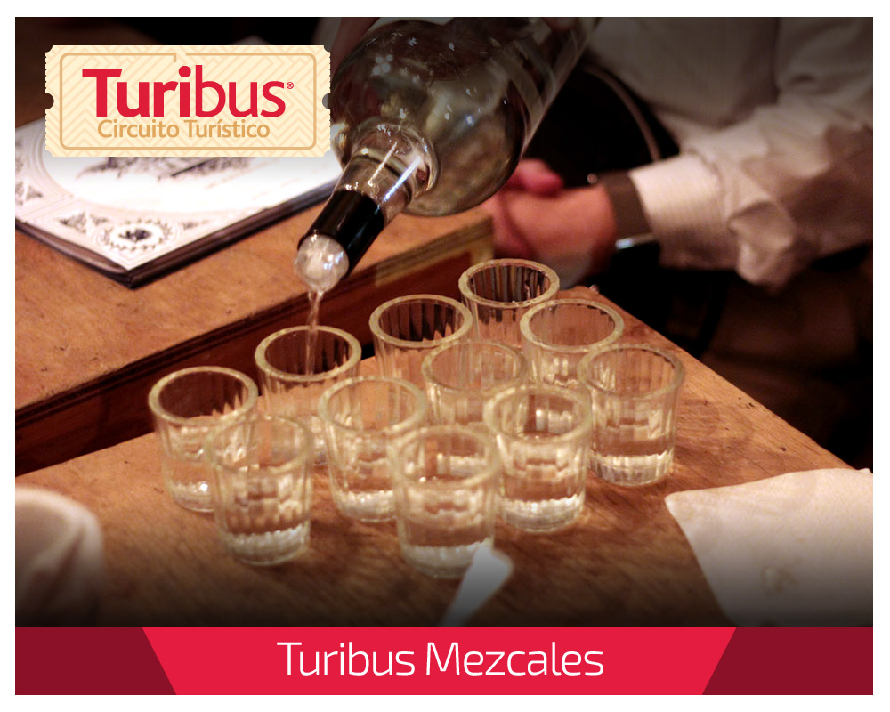 turimezcales-09