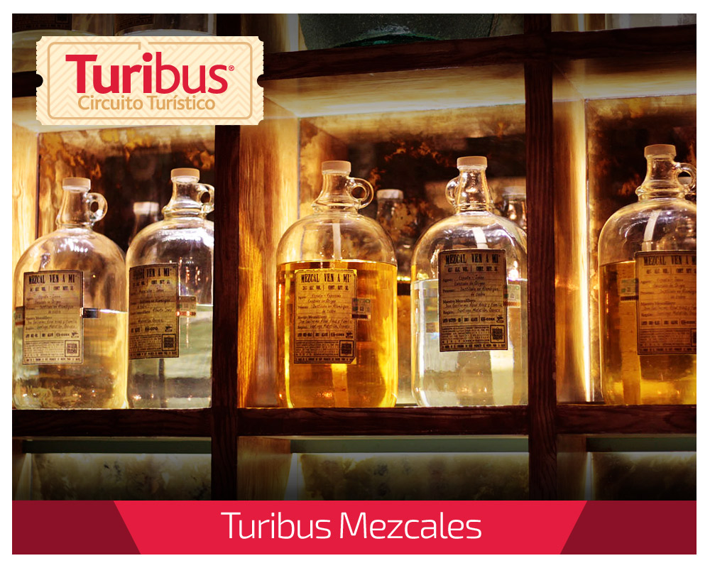 turimezcales-17