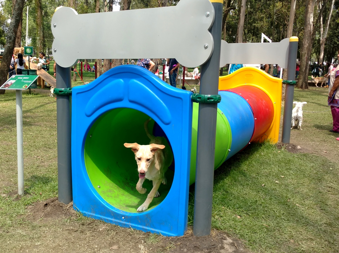 Paraíso canino en el Parque Naucalli