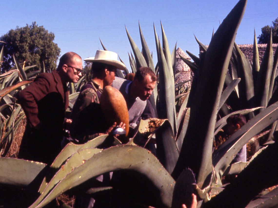 1er-Festival-Cultural-Pulque-CDMX-2