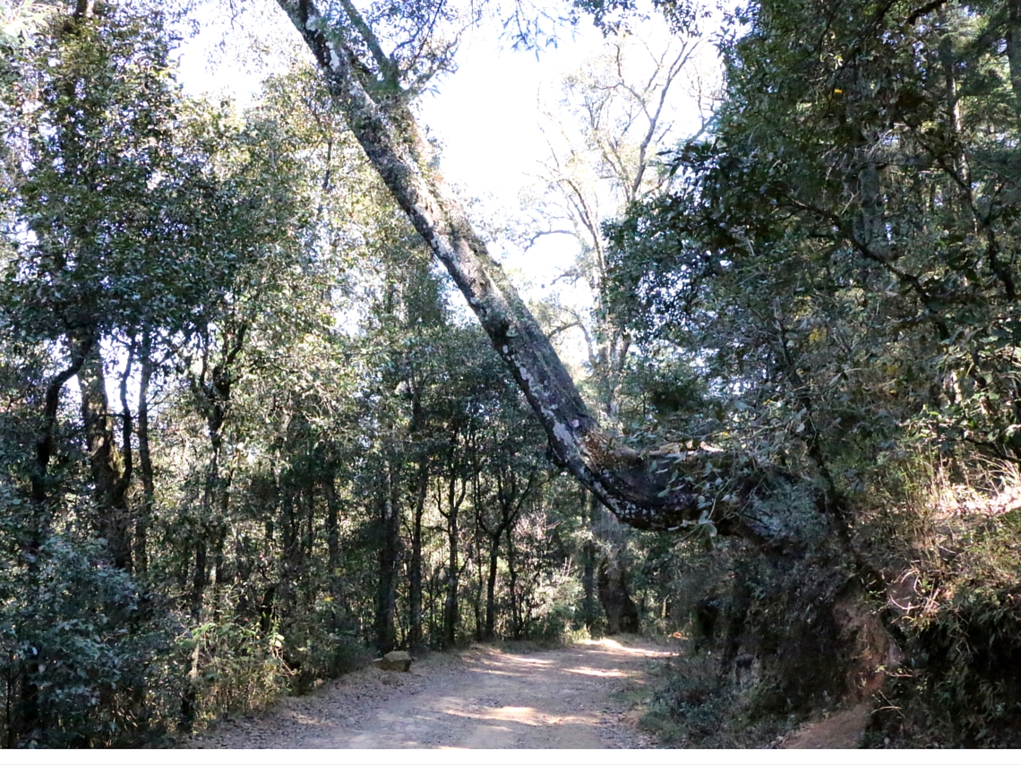 Geoparque-Comarca-Minera