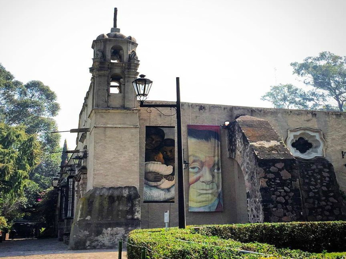 Fin de semana en el Museo Dolores Olmedo