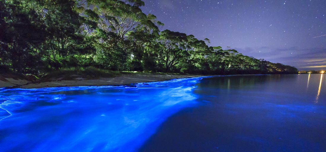 5 playas bioluminiscentes en México