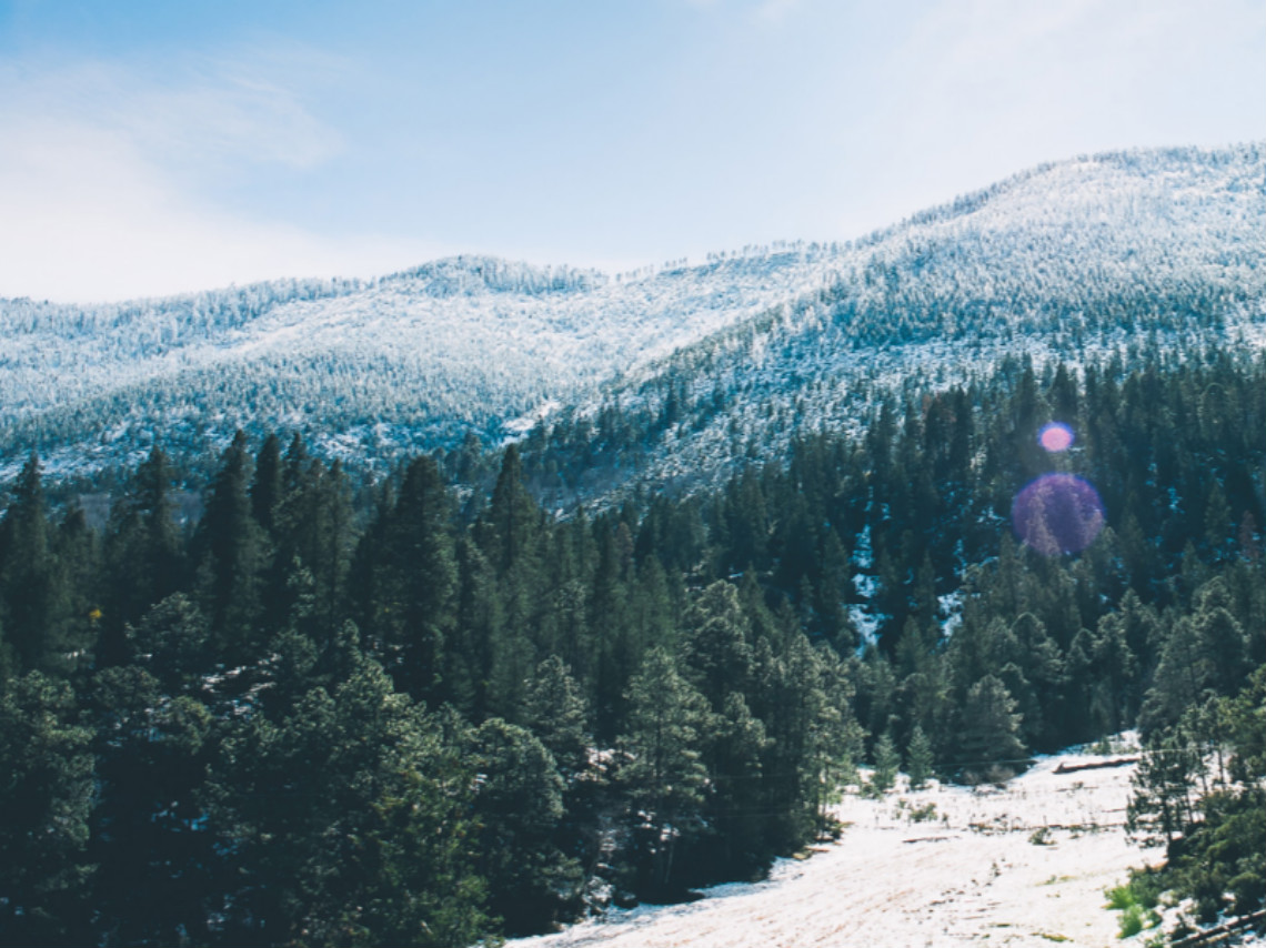 Visita los Bosques de Monterreal