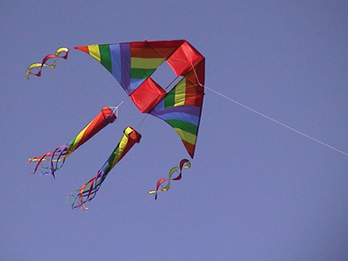 Festival del Papalote en Hidalgo 2016