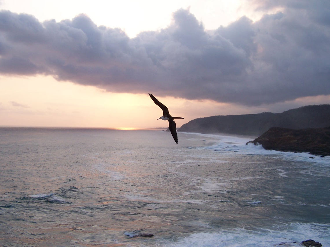mazunte-jazz