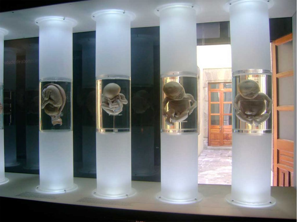 Noche de museos de octubre