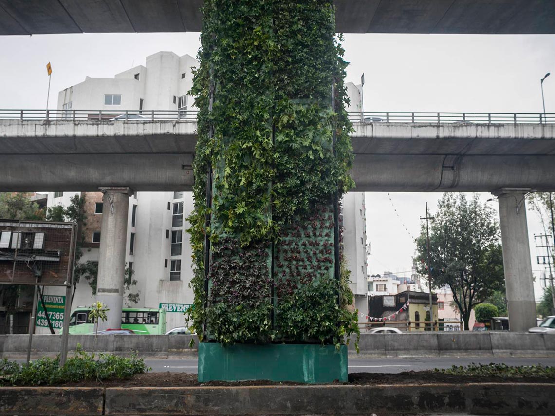 periferico-jardin