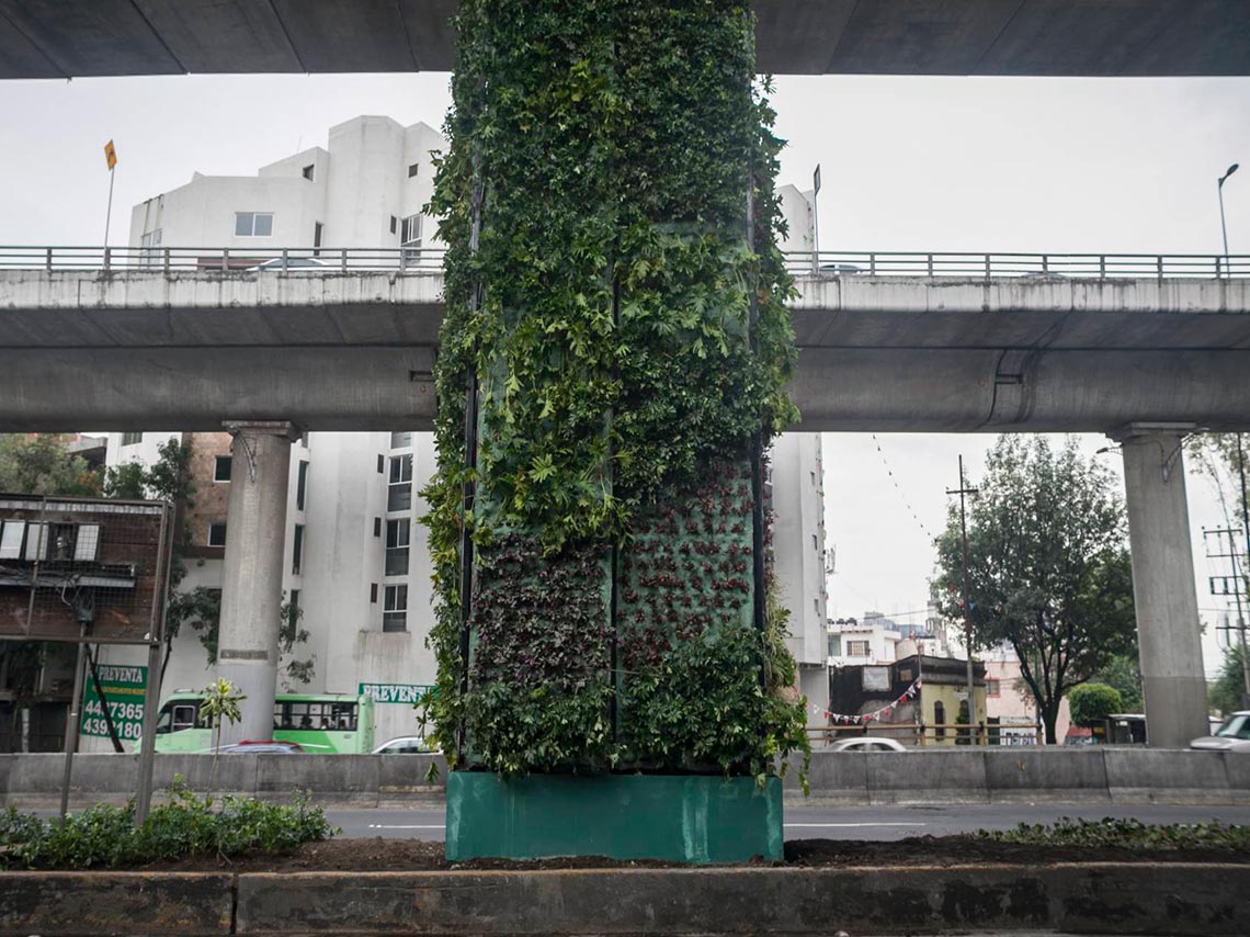 Jardín invade Periférico