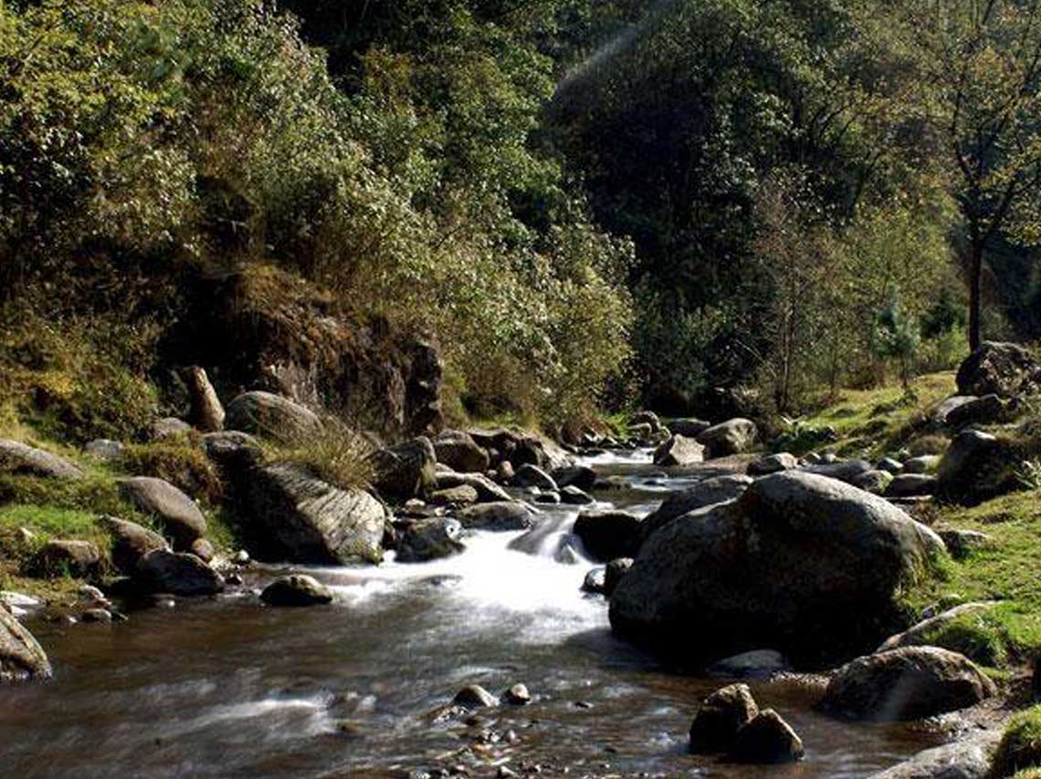 Espacios con naturaleza cerca de CDMX