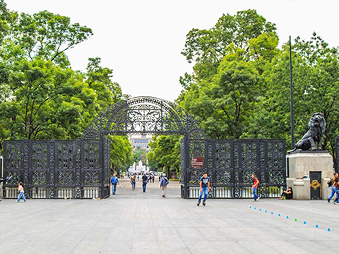 Actividades gratis en Chapultepec el fin de semana