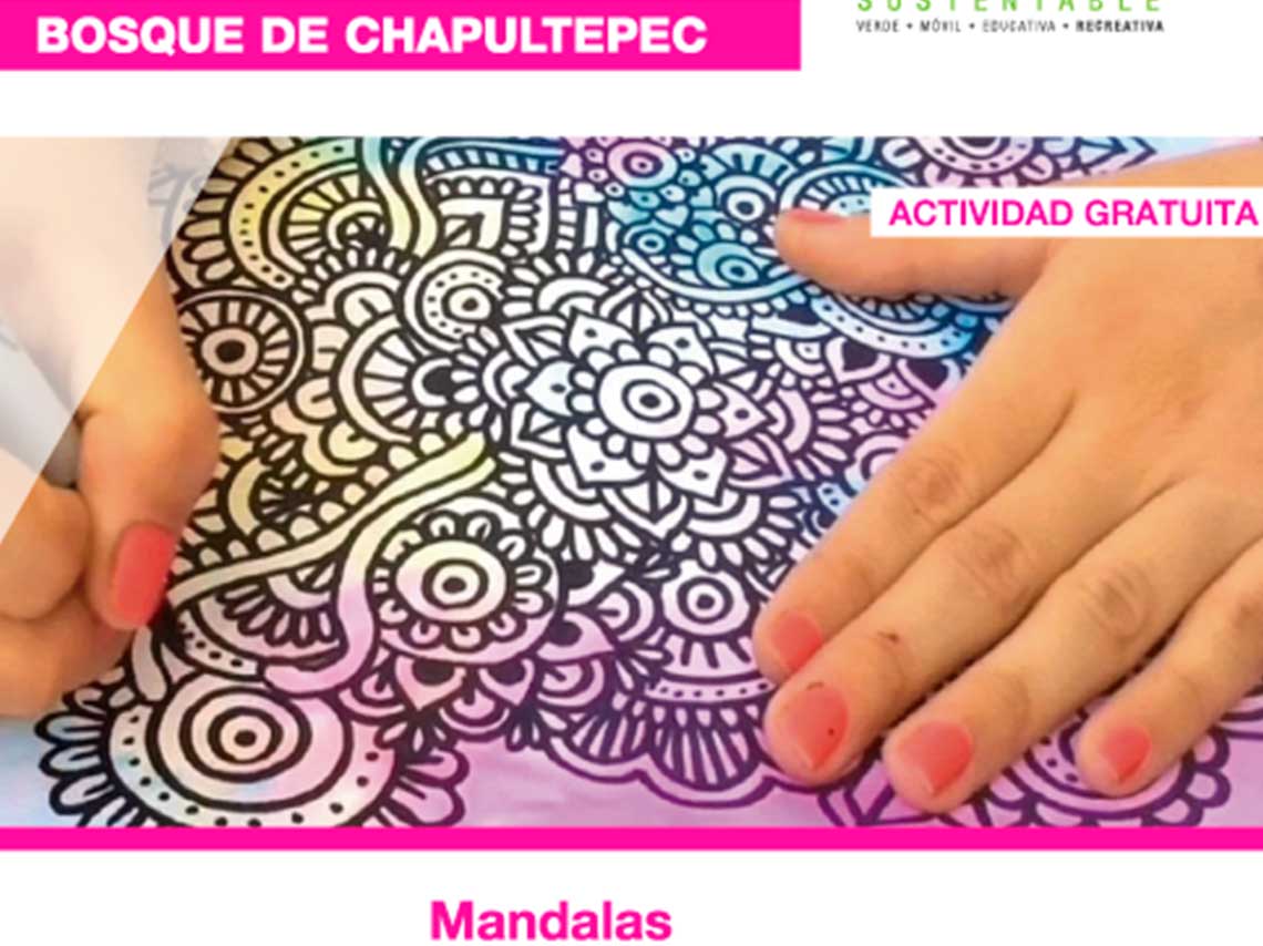Si no tienes plan para el fin, mira las actividades gratis en Chapultepec, va desde yoga, meditación y domingo verde. 