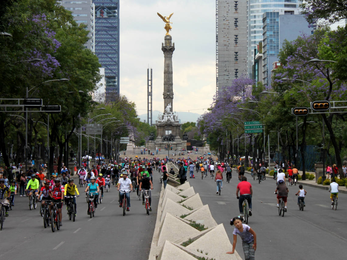 bici-tours