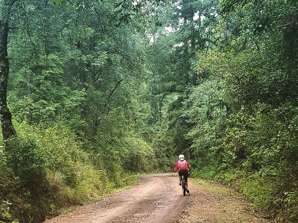 Bici de montaña y luciérnagas en Tlaxcala