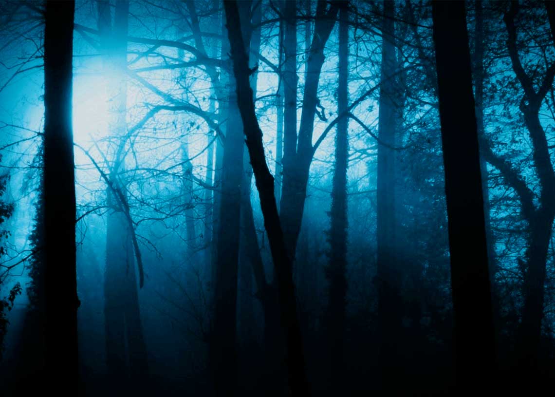 Carrera nocturna llena de terror en el bosque