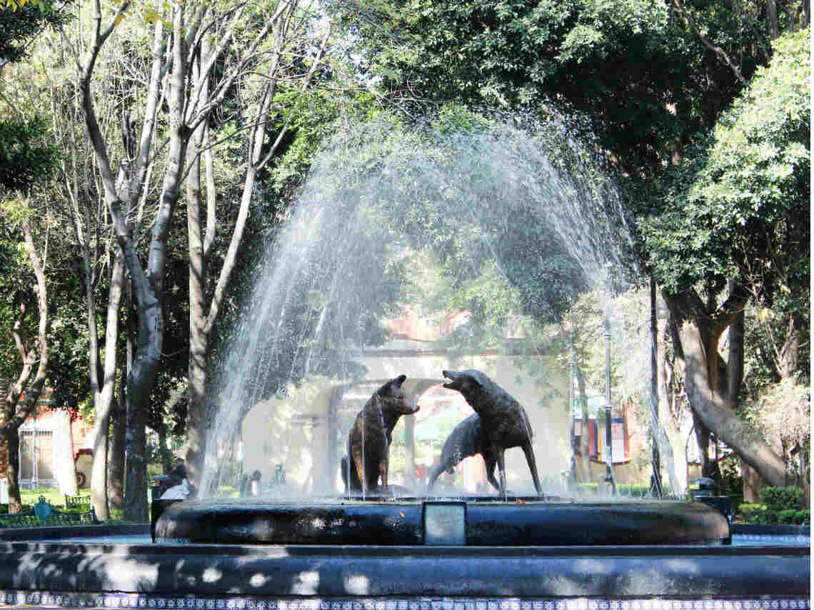 cine-al-aire-libre