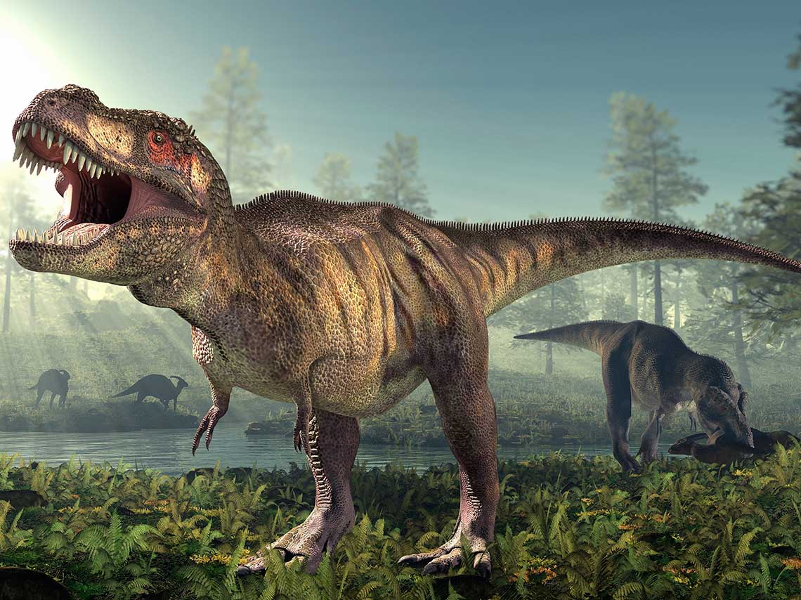 Aventura Jurásica: mira dinosaurios en el Batán de tamaño real