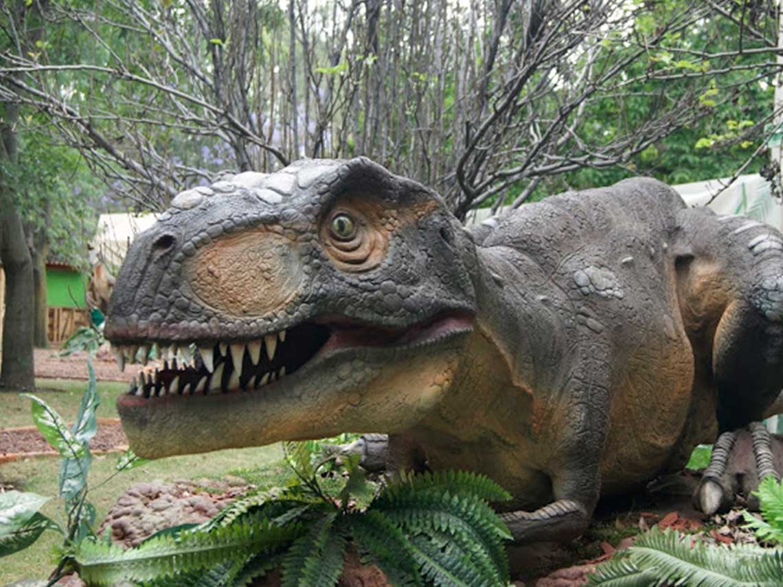 Cruza las puertas del parque Batán y adéntrate a una aventura donde caminarás entre dinosaurios de tamaño real que se mueven y hacen sonidos. 
