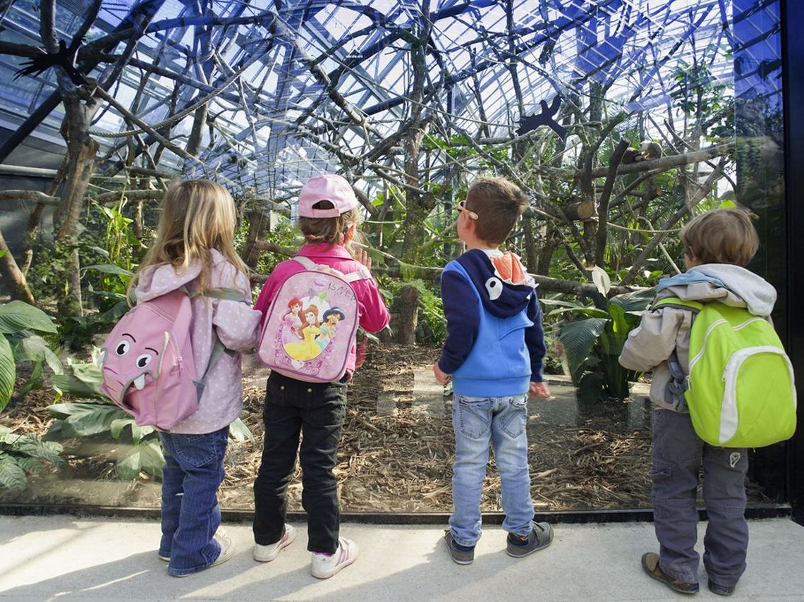 Actividades en el Bosque de Chapultepec en julio de 2017 2