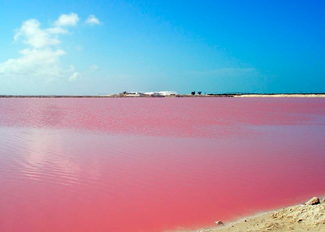 El lago rosa que se encuentra en Yucatán