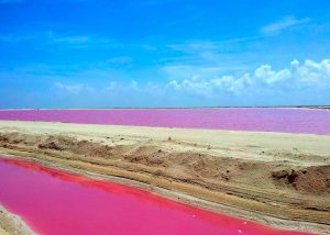 las coloradas-lago-rosa