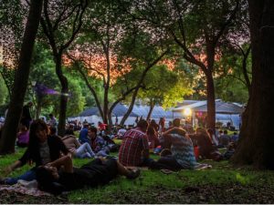 picnic nocturno en diciembre 