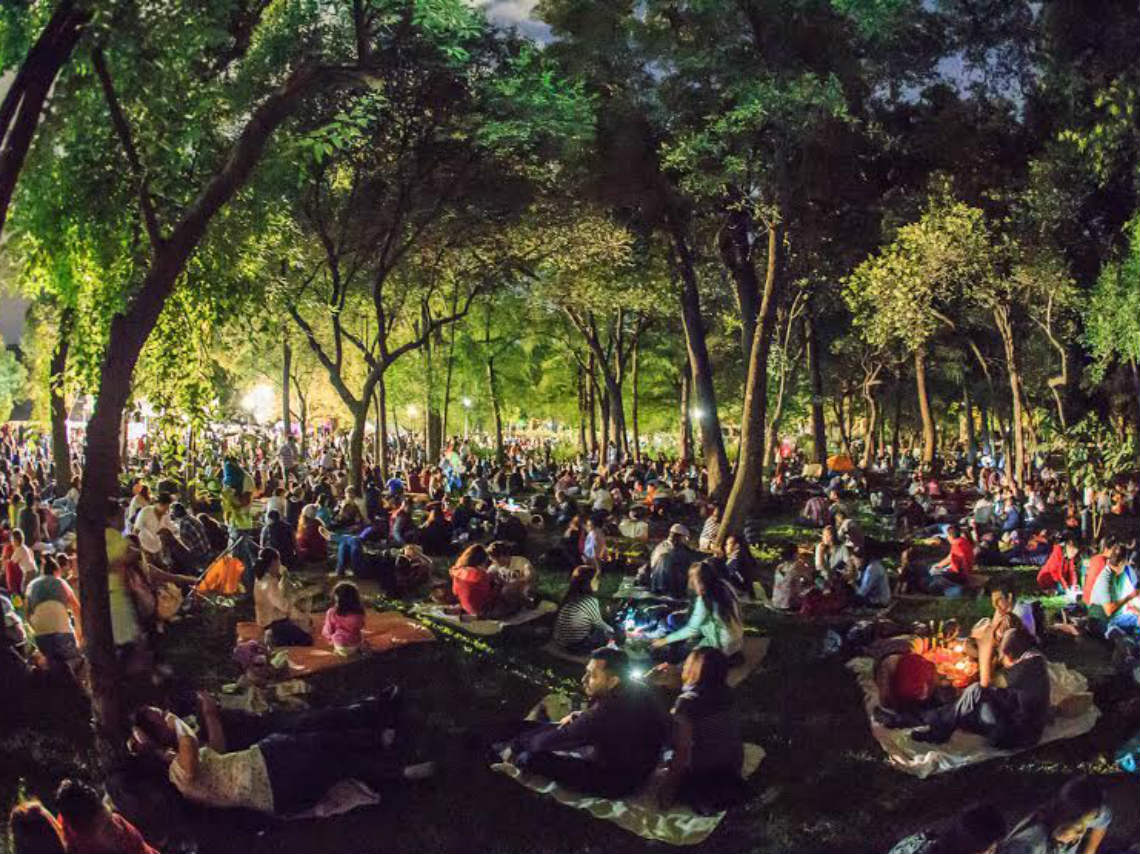 Picnic Nocturno en Chapultepec: Cena dentro del Jardín Botánico