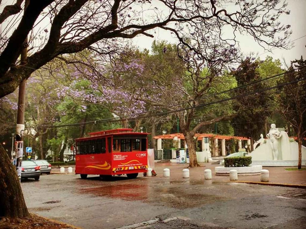 Recorrido por la ciudad en camión