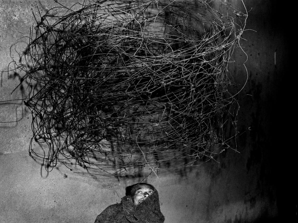 Roger Ballen en el Fotomuseo