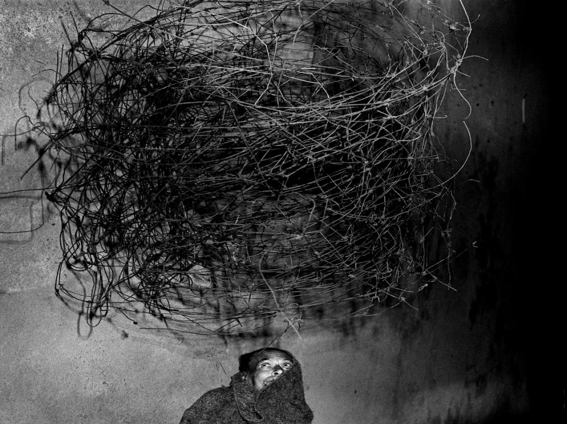 Roger Ballen en el Fotomuseo