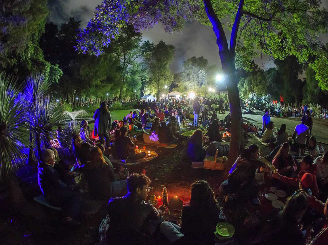 Picnic Nocturno en Chapultepec en noviembre