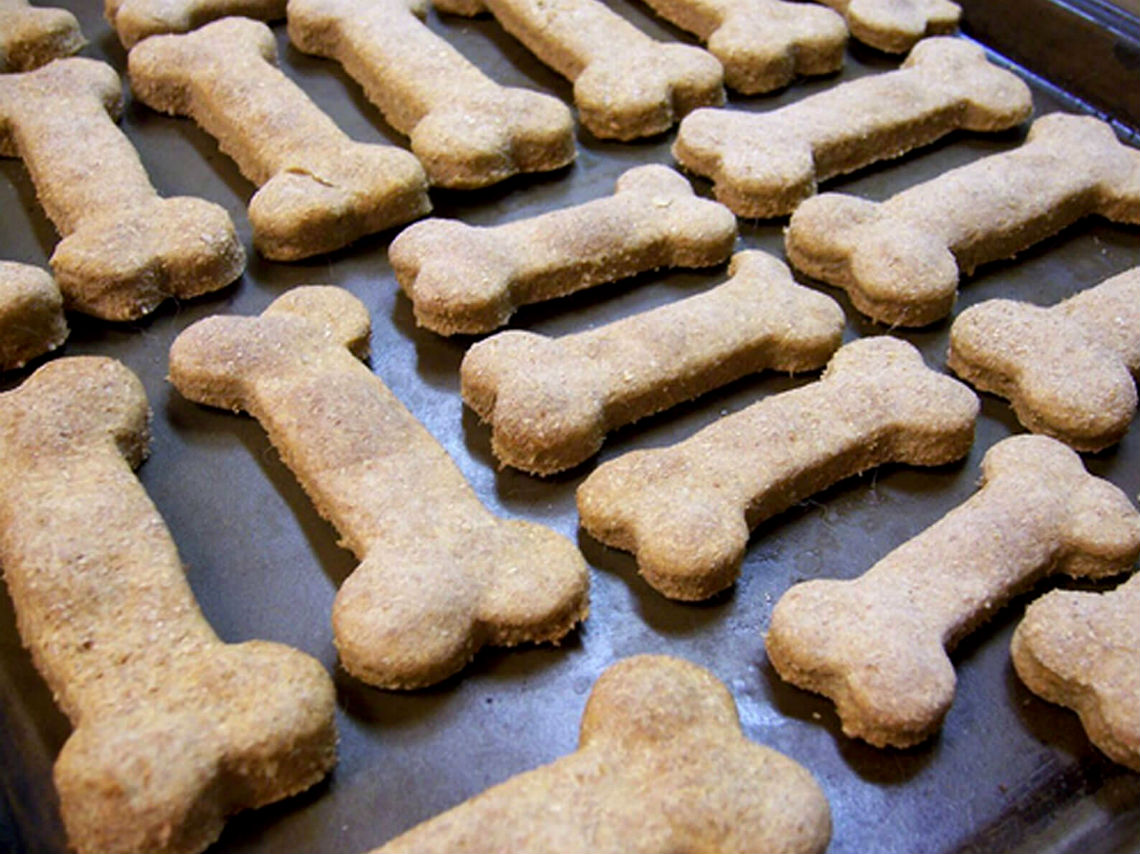 picnic-vegano-y-pet-friendly