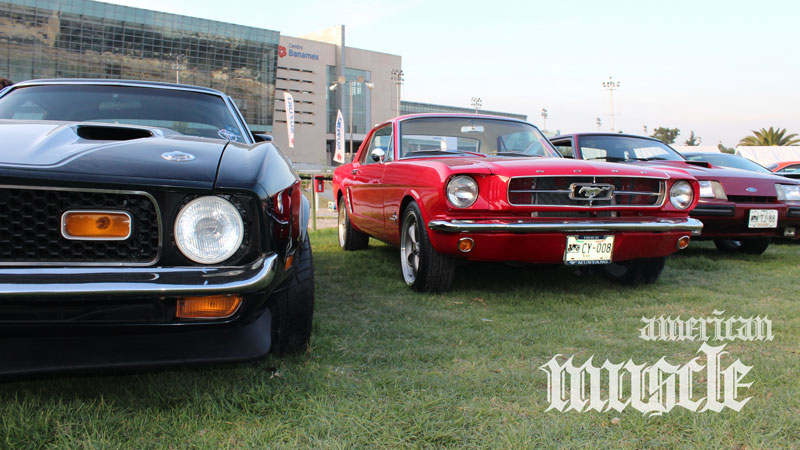 americanmuscle1