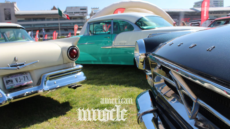 americanmuscle2
