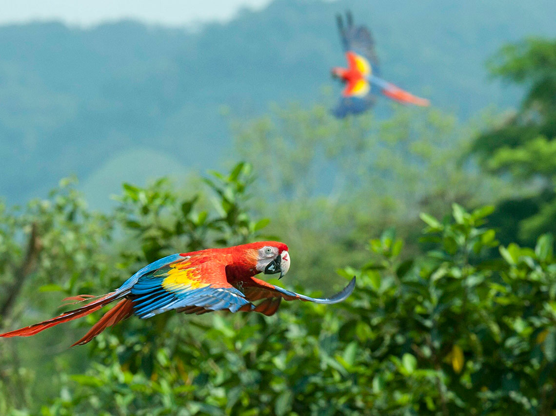 catemaco