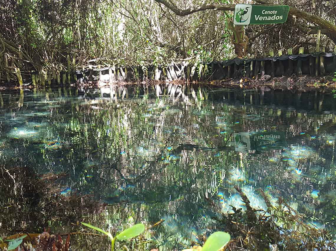 cenote en yucatan