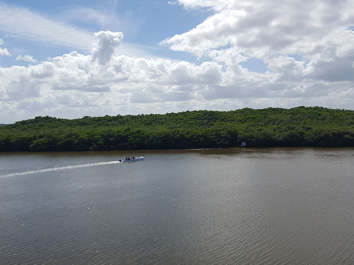 cenote-yucatan-c