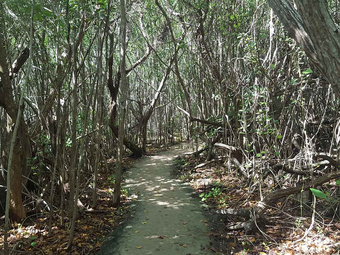 cenote-yucatan-e