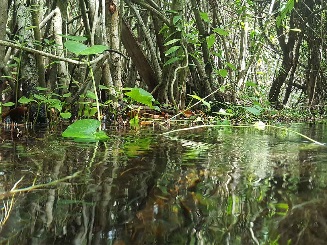 cenote-yucatan-m