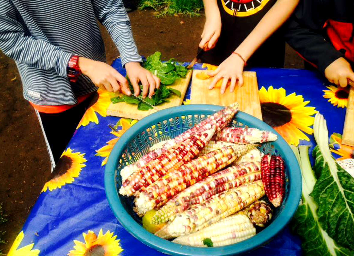 experiencia-culinaria-en-el-Huerto-Tlatelolco