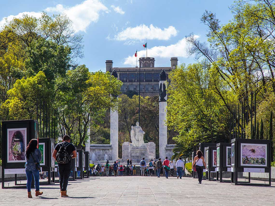 festival bosque de chapultepec